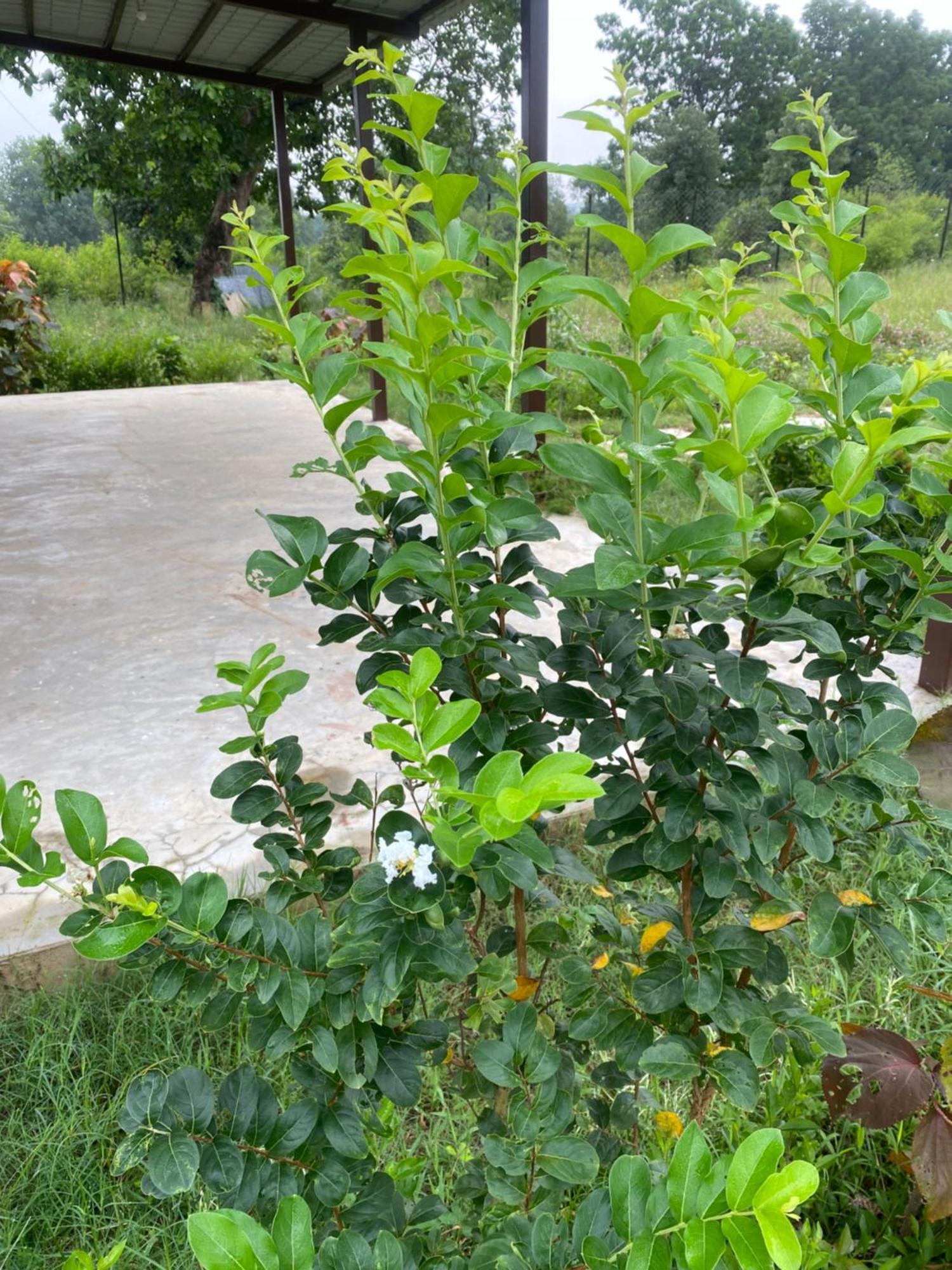 Wildlife Retreat Ξενοδοχείο Tāla Εξωτερικό φωτογραφία